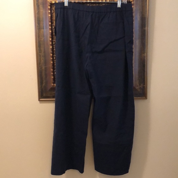 Theory Linen blend pull-on, front pockets, elastic back/waist, faux fly pants - Picture 3 of 8